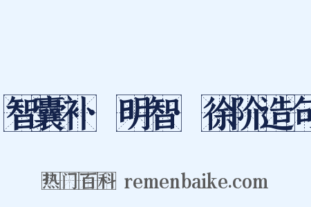 智囊补·明智·徐阶造句是什么意思的图片